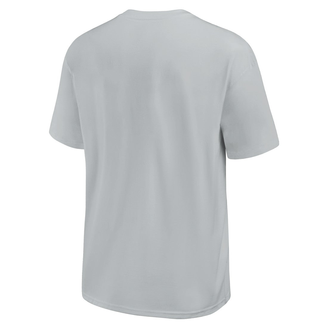 Detroit Lions Glory Max90 T-Shirt - Gray | Nike sale
