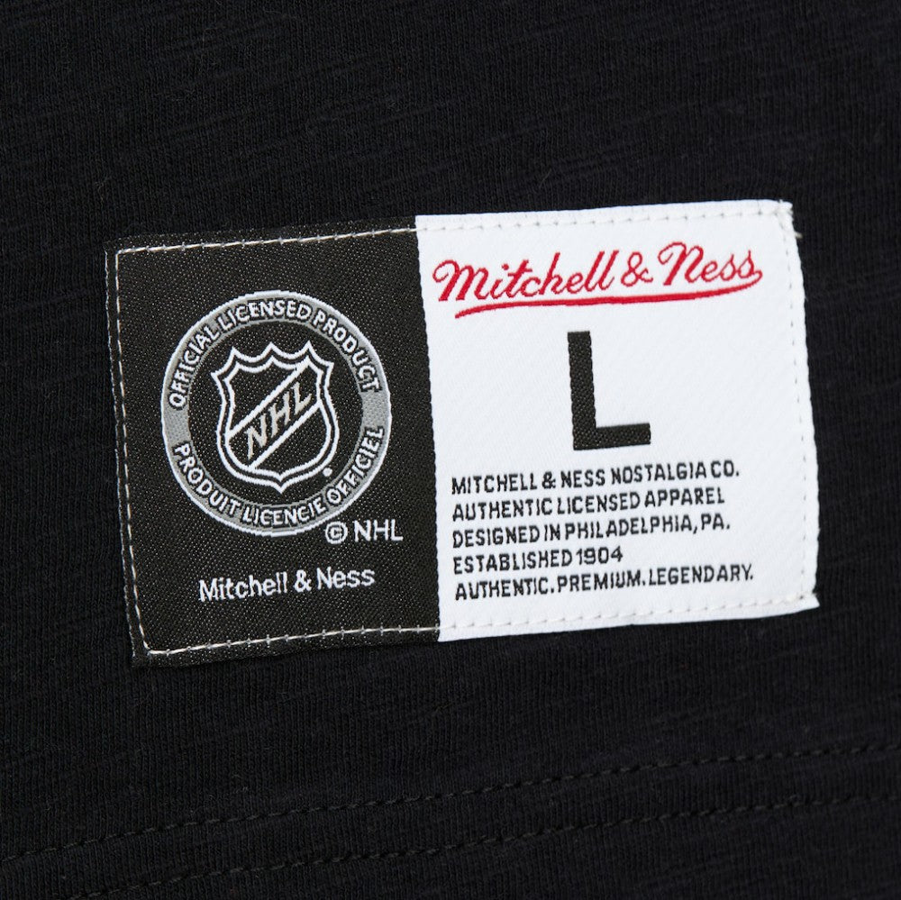 San Jose Sharks Mitchell & Ness Legendary Slub Raglan Long Sleeve T-Shirt Black/Teal