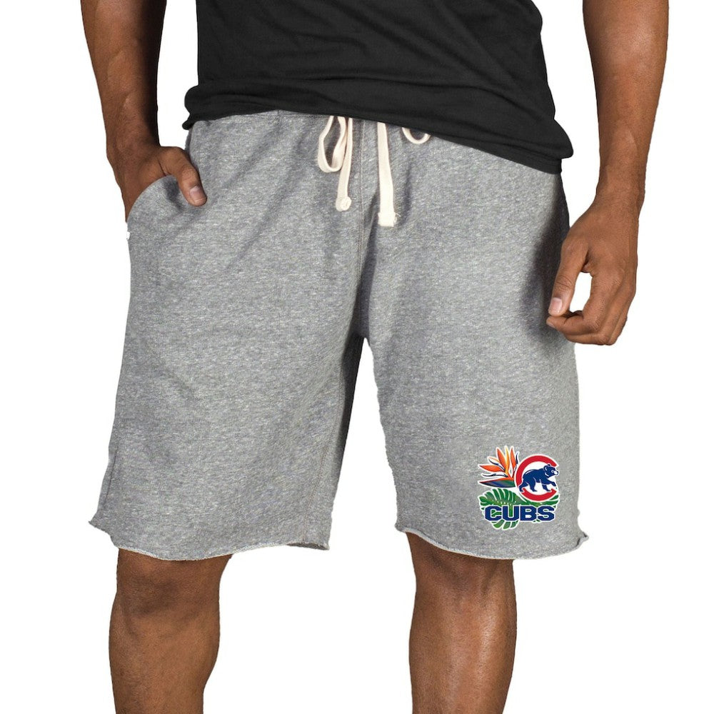 Chicago Cubs Concepts Sport Mainstream Tri-Blend Shorts - Gray