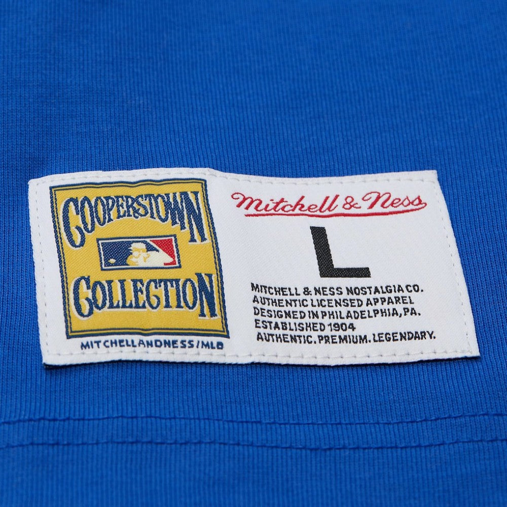 Hank Aaron Atlanta Braves Legends Collection Vintage Logo T-Shirt - Royal | Mitchell & Ness