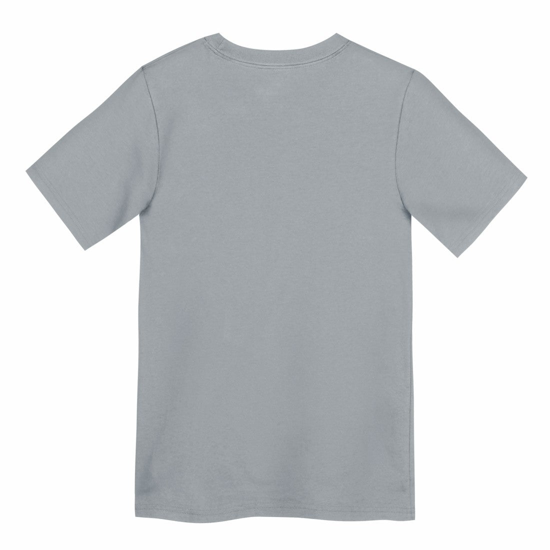 Detroit Lions Preschool Icon Legend Dri-FIT T-Shirt - Gray | Nike outlet