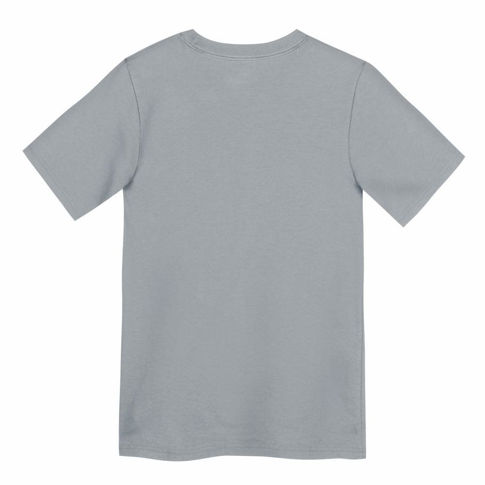 Detroit Lions Preschool Icon Legend Dri-FIT T-Shirt - Gray | Nike outlet