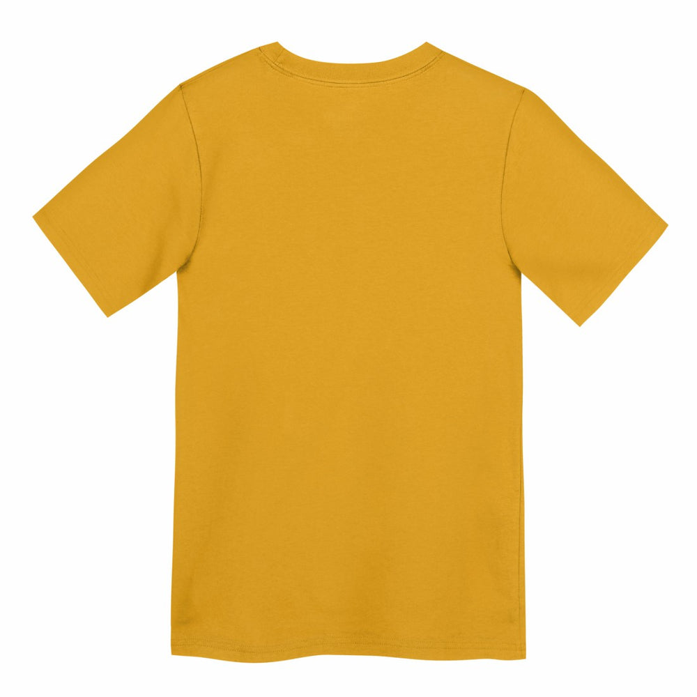 Green Bay Packers Preschool Icon Legend Dri-FIT T-Shirt - Gold | Nike discount