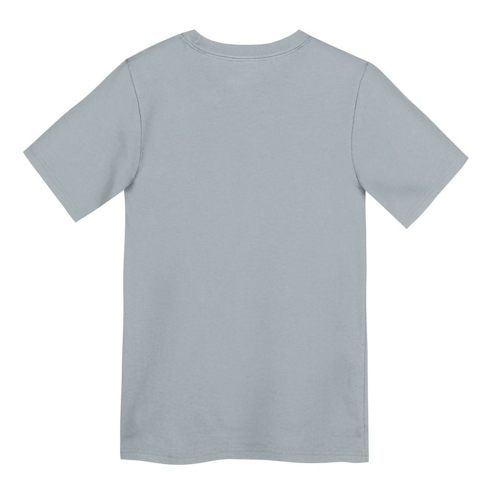 Las Vegas Raiders Preschool Icon Legend Dri-FIT T-Shirt - Gray | Nike discount