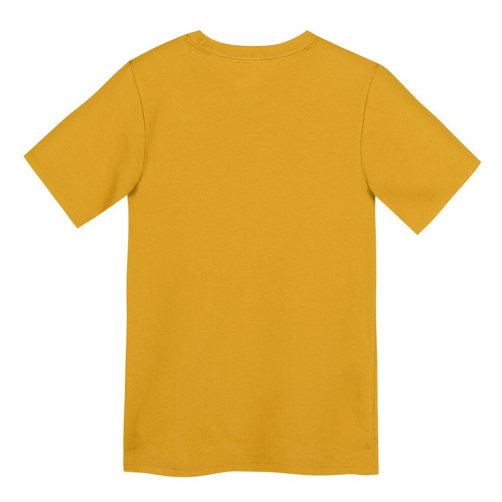 Pittsburgh Steelers Preschool Icon Legend Dri-FIT T-Shirt - Gold | Nike sale