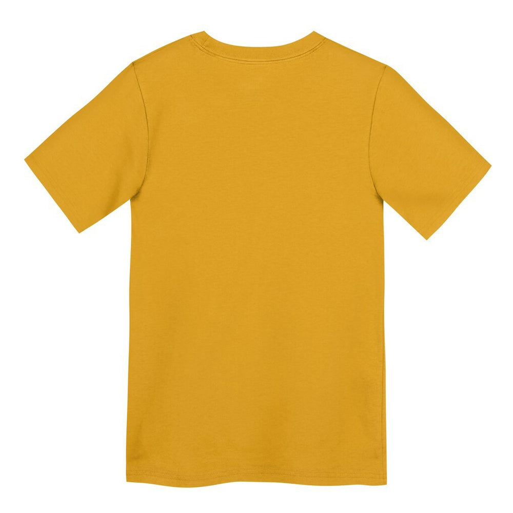Pittsburgh Steelers Preschool Icon Legend Dri-FIT T-Shirt - Gold | Nike sale