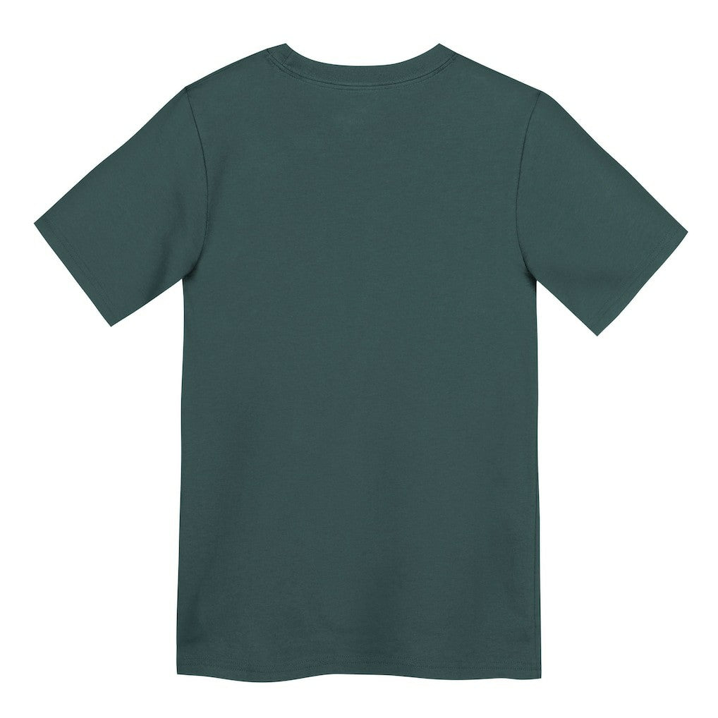 Philadelphia Eagles Preschool Primary Logo Legend Performance T-Shirt - Green | Nike on sale