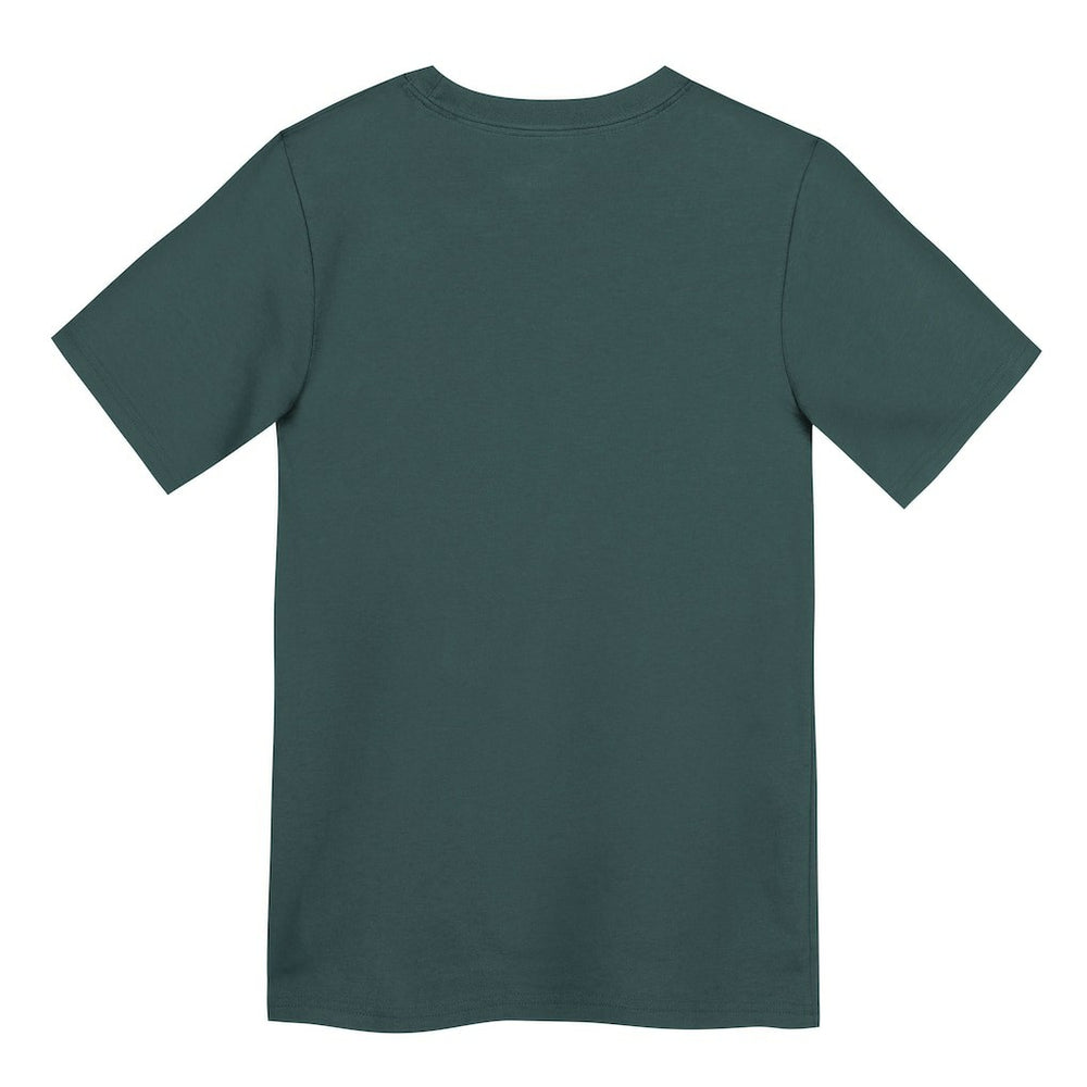 Philadelphia Eagles Preschool Primary Logo Legend Performance T-Shirt - Green | Nike on sale