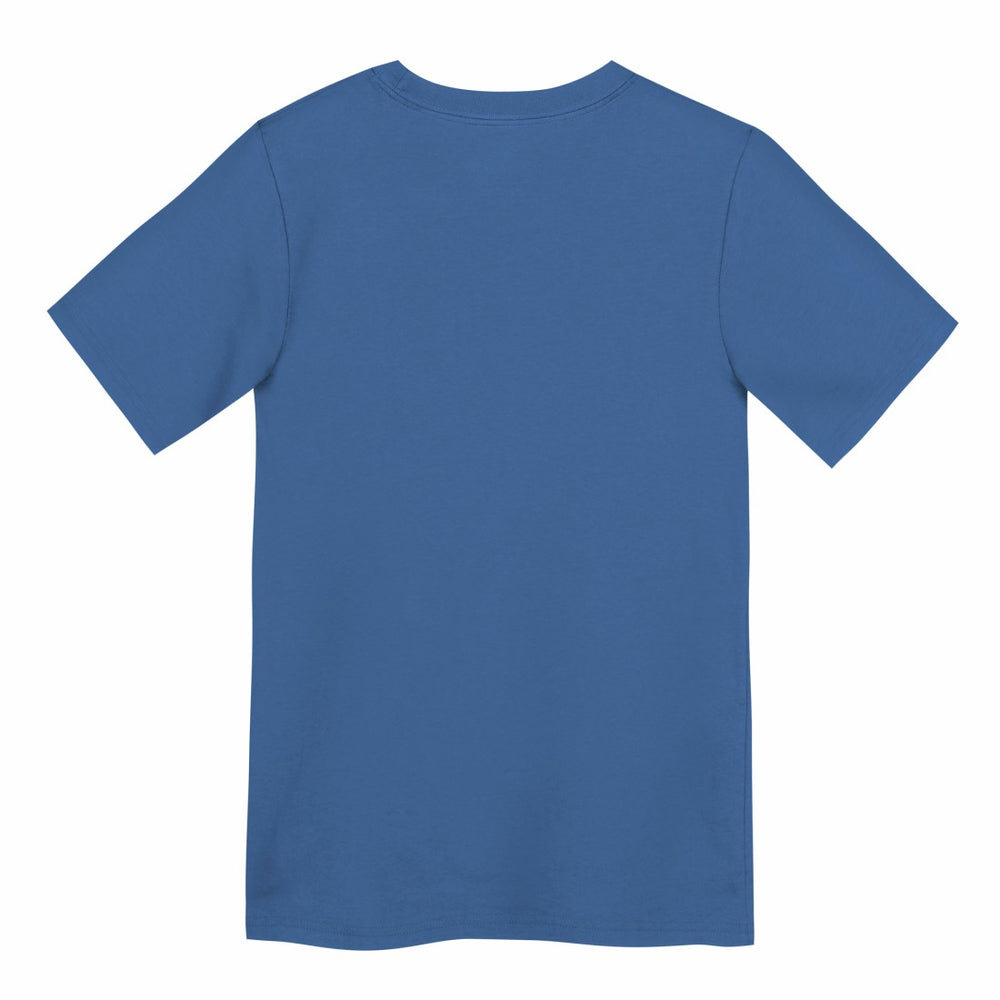 Detroit Lions Preschool Primary Logo Legend Performance T-Shirt - Blue | Nike for sale