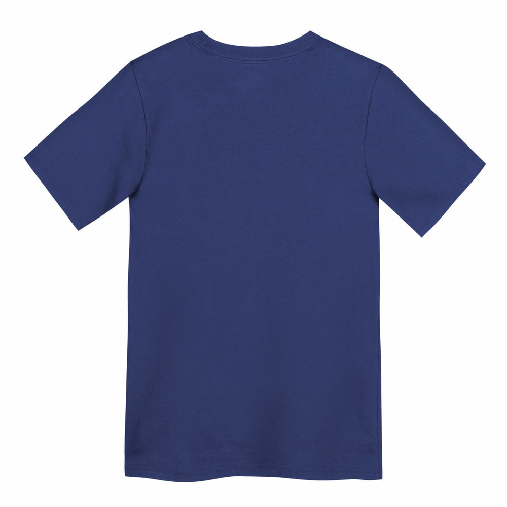New York Giants Preschool Primary Logo Legend Performance T-Shirt - Royal | Nike outlet