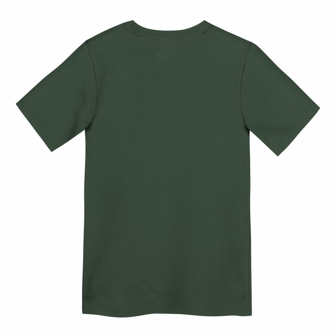 Green Bay Packers Preschool Primary Logo Legend Performance T-Shirt - Green | Nike cheap