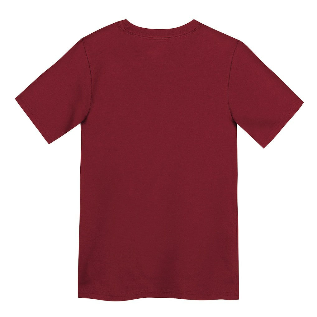 San Francisco 49ers Preschool Primary Logo Legend Performance T-Shirt - Scarlet | Nike outlet