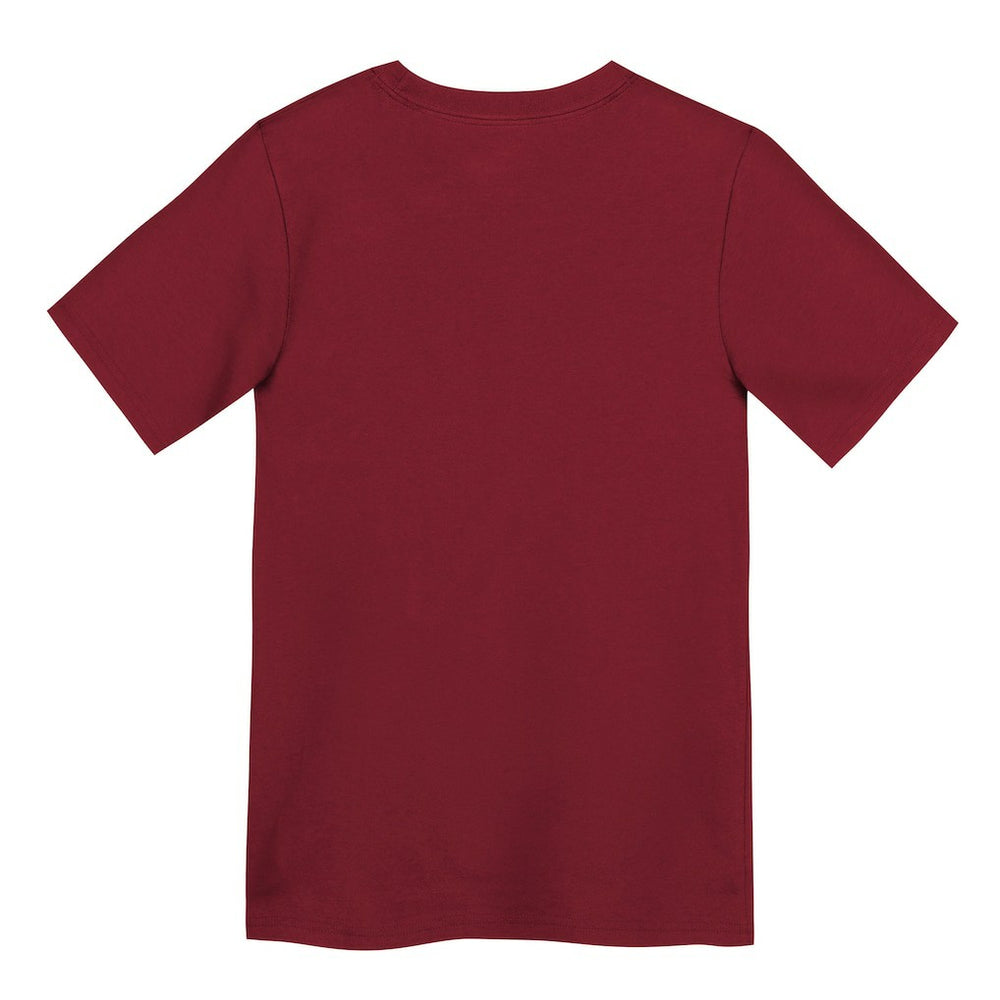 San Francisco 49ers Preschool Primary Logo Legend Performance T-Shirt - Scarlet | Nike outlet