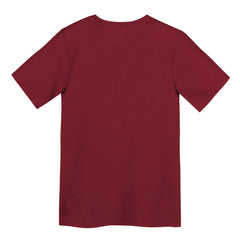 San Francisco 49ers Preschool Primary Logo Legend Performance T-Shirt - Scarlet | Nike outlet