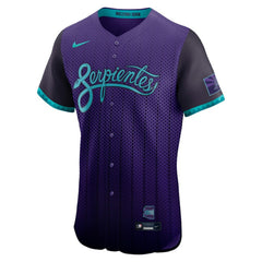 Arizona Diamondbacks 2025 City Connect Elite Jersey - Purple | Nike