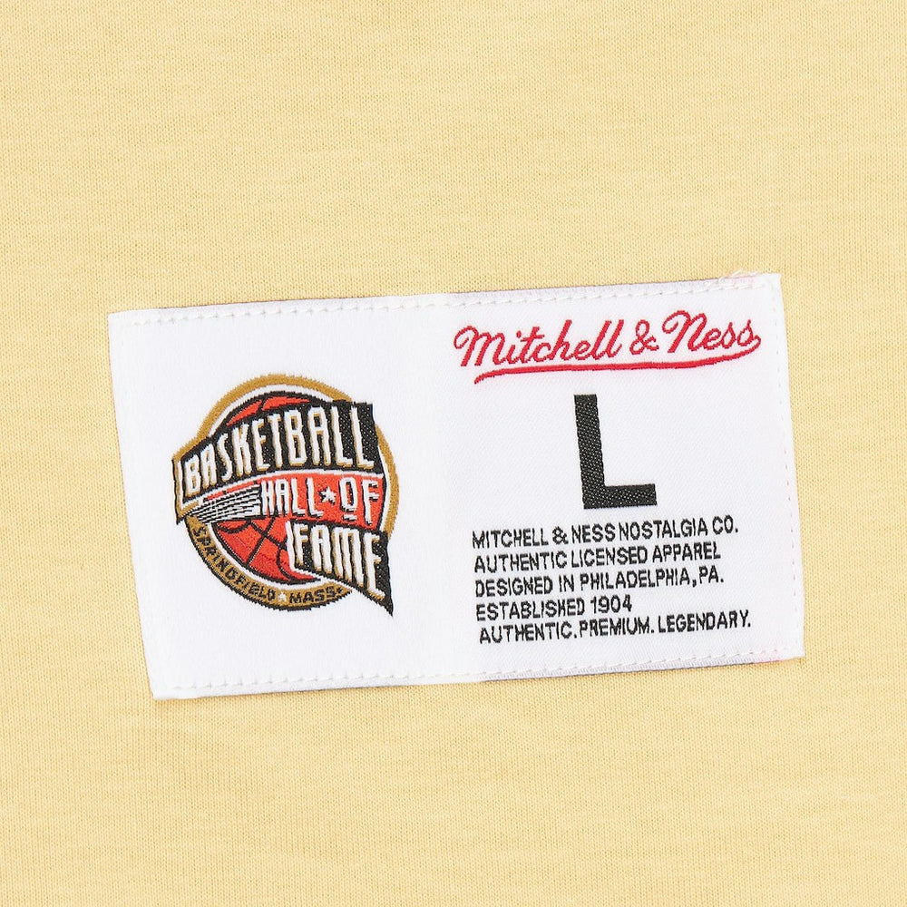 Vince Carter Toronto Raptors Premium T-Shirt - Cream | Mitchell & Ness outlet