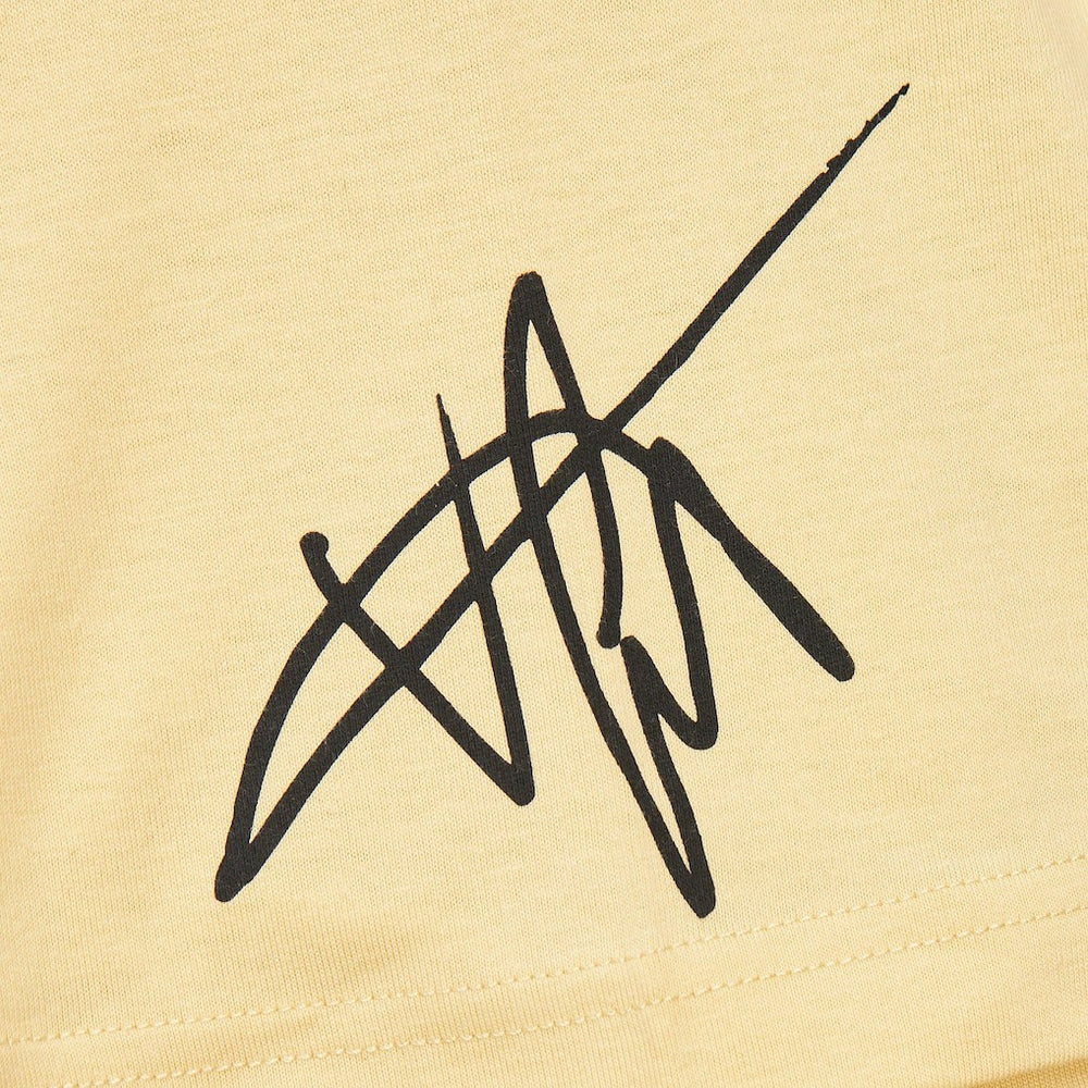 Vince Carter Toronto Raptors Premium T-Shirt - Cream | Mitchell & Ness outlet