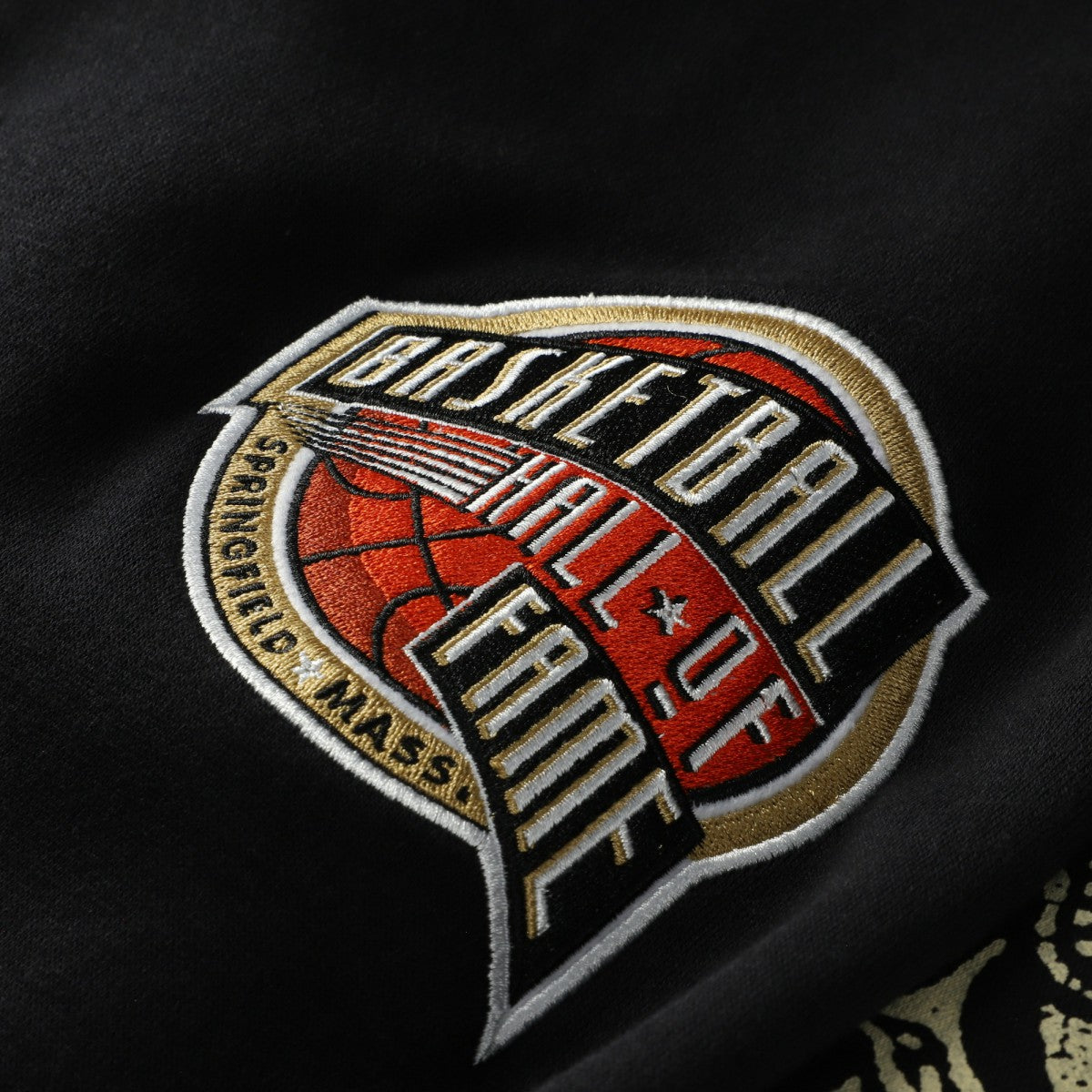Vince Carter Toronto Raptors NBA Hall of Fame 2024 Fleece Pullover Hoodie - Black discount