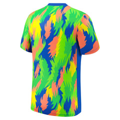 Brazil Women's National Team 2025 Academy Pro Pre-Match Performance Top - Blue | Nike shop