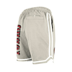 San Francisco 49ers New Era Stone Multi Patch Shorts - Light Beige for sale