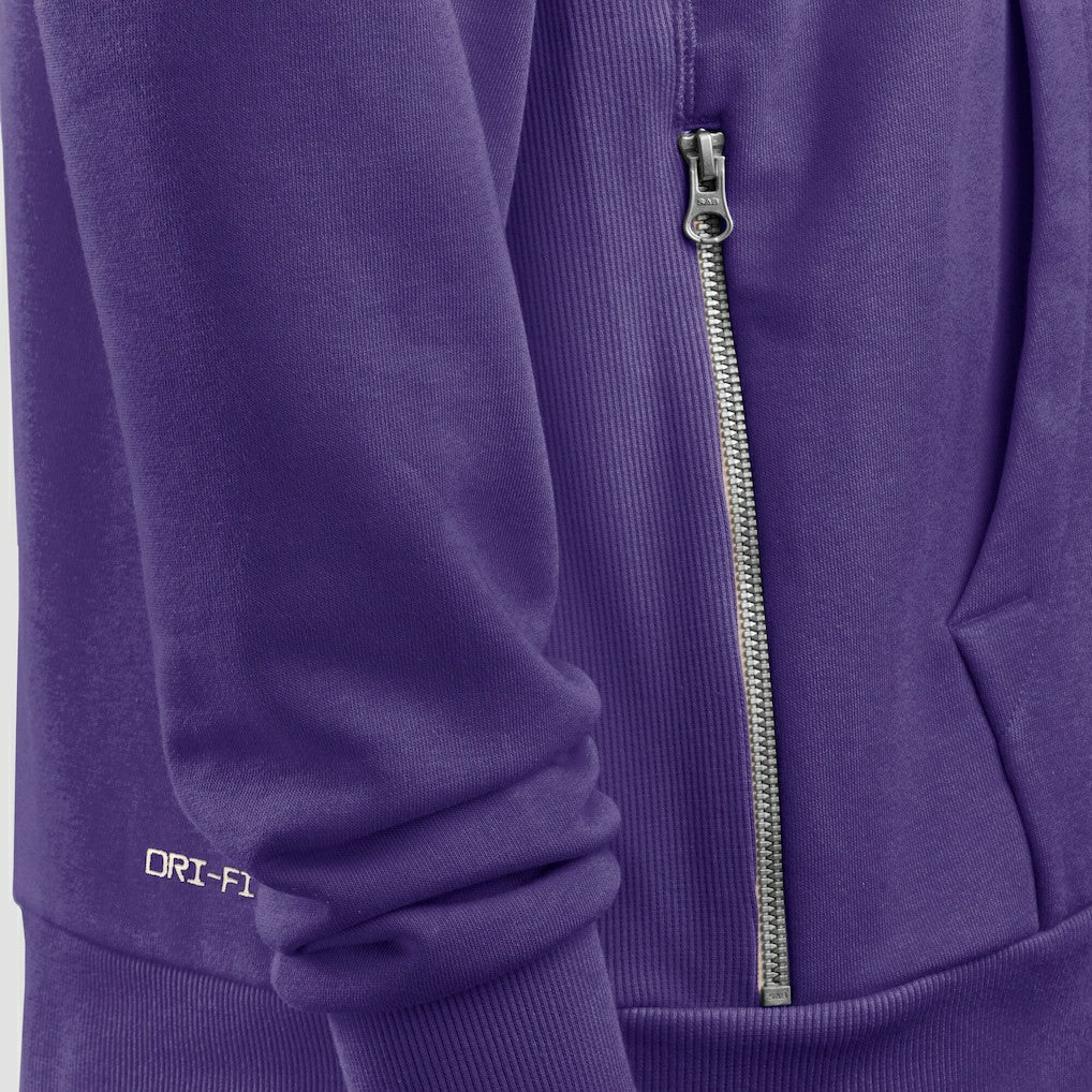 Minnesota Vikings Sideline Standard Issue Initial Home Dri-FIT Hoodie - Purple | Nike on sale