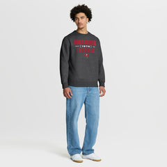 Tampa Bay Buccaneers Powerful Throw Legacy Pullover Sweatshirt - Heather Pewter outlet