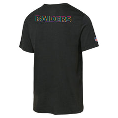 Las Vegas Raiders Youth 2025 NFL Crucial Catch Tri-Blend Dri-FIT T-Shirt - Black | Nike for sale