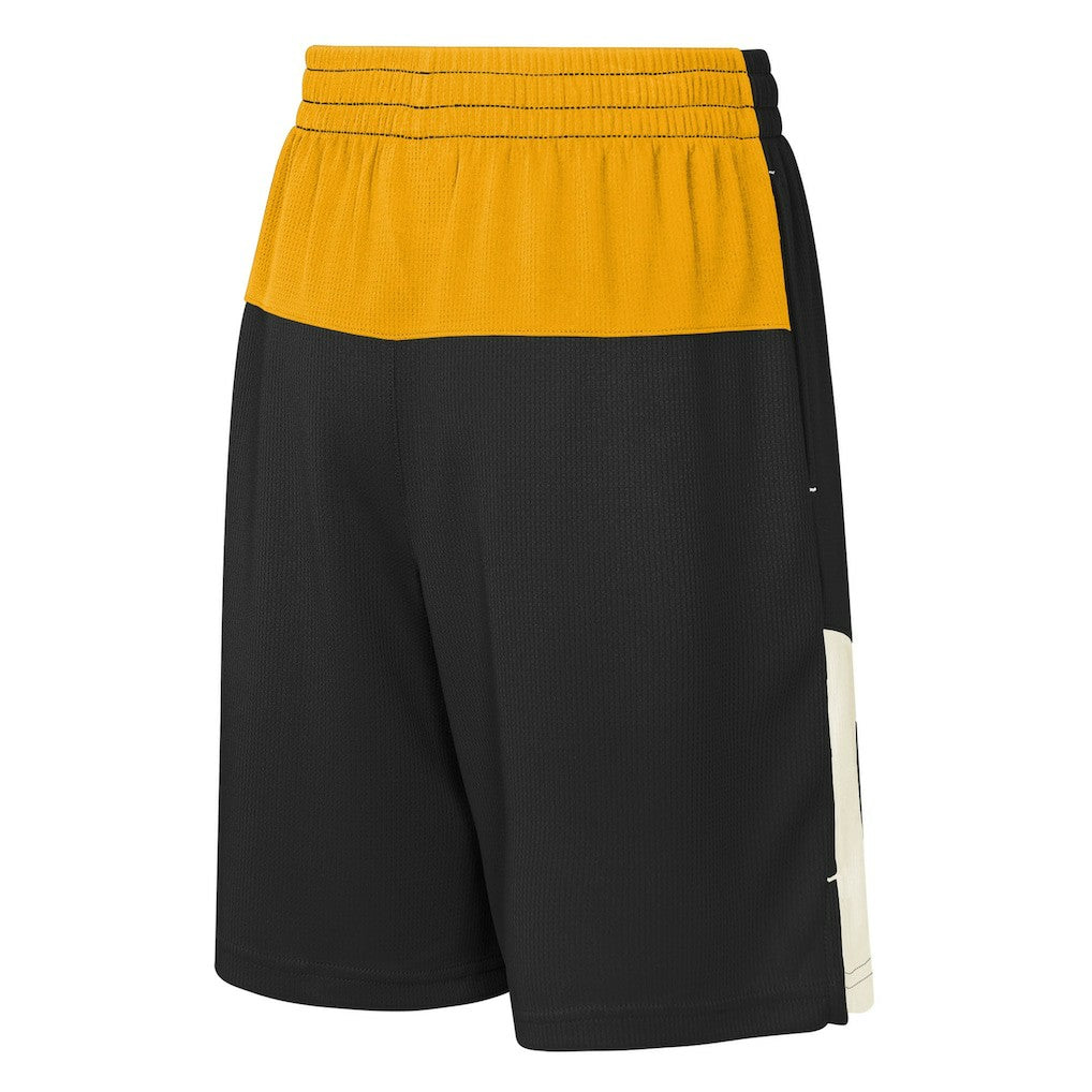 Pittsburgh Steelers Youth Fandemonium Mesh Shorts - Black sale