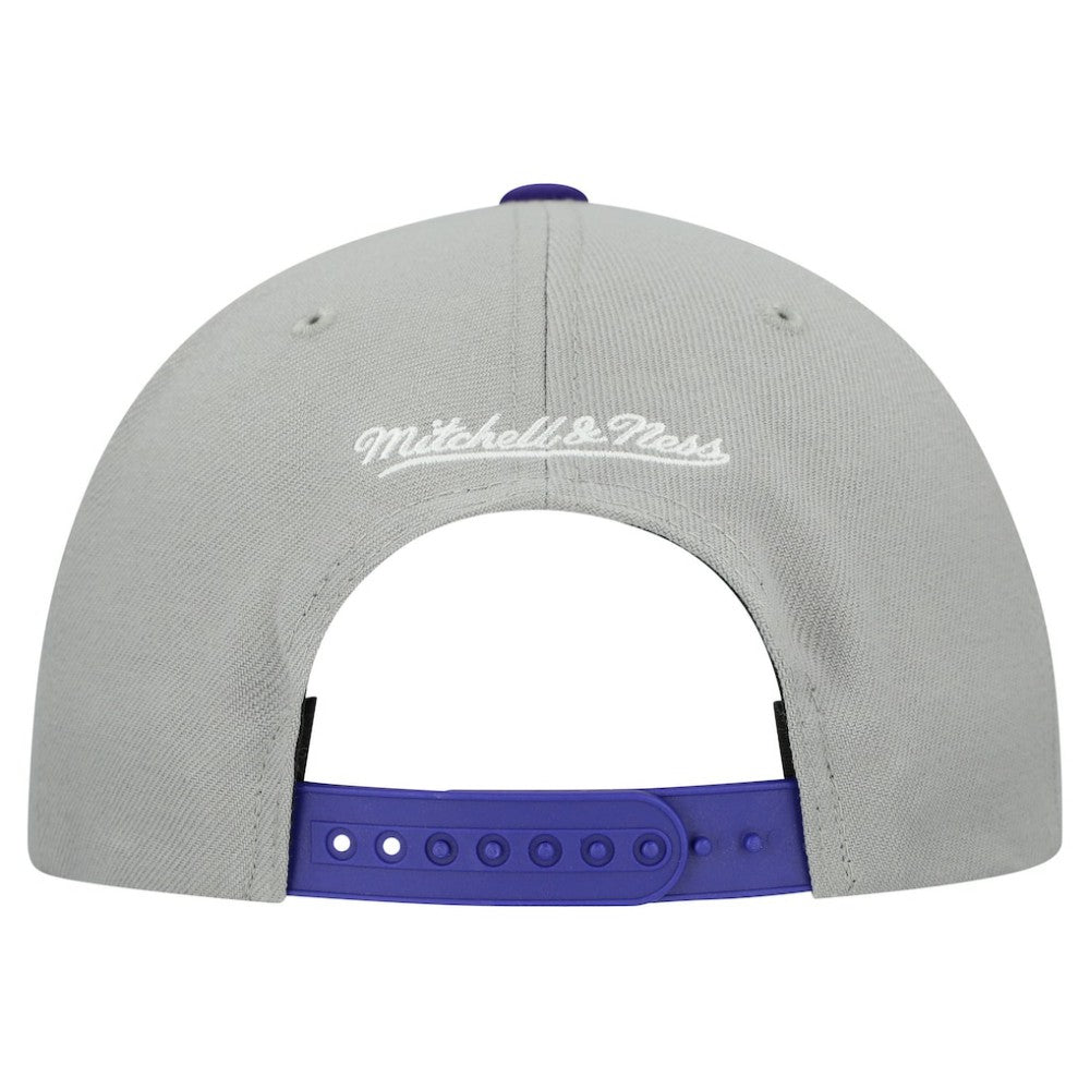 Tampa Bay Rays Cooperstown Collection Basic Flip Snapback Hat - Gray | Mitchell & Ness