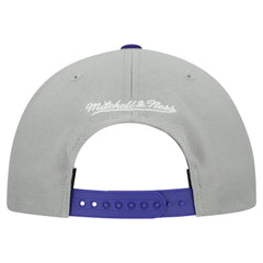 Tampa Bay Rays Cooperstown Collection Basic Flip Snapback Hat - Gray | Mitchell & Ness