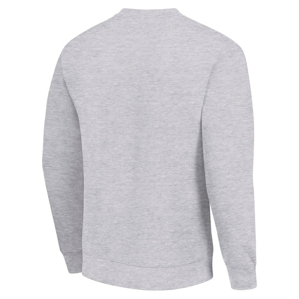 Buffalo Sabres Men's Starter Team Logo Fleece Pullover Sweatshirt Heather Gray