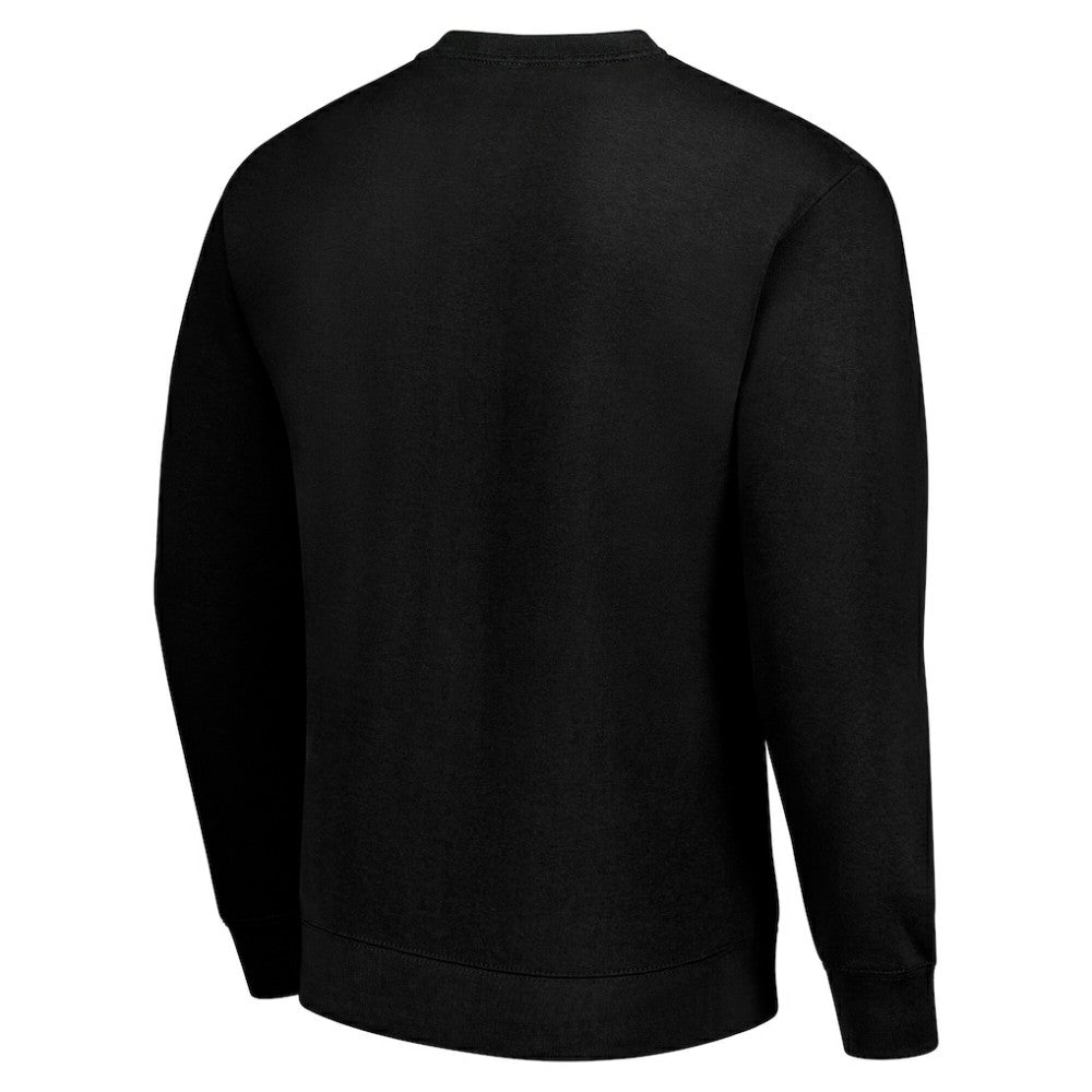 Carolina Hurricanes Men's Starter Team Logo Fleece Pullover Sweatshirt Black