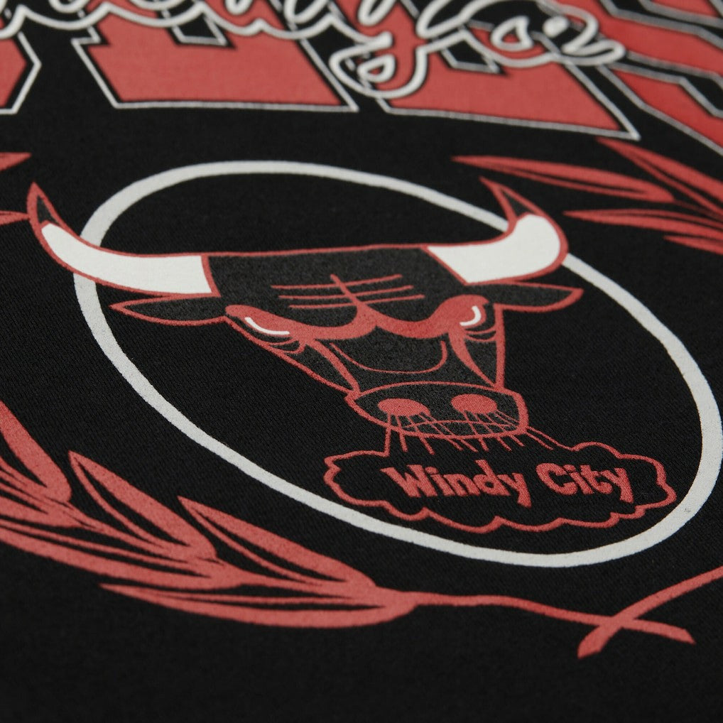 Chicago Bulls NBA x Michelob Ultra Swish & Sip Pullover Hoodie - Black | Mitchell & Ness shop