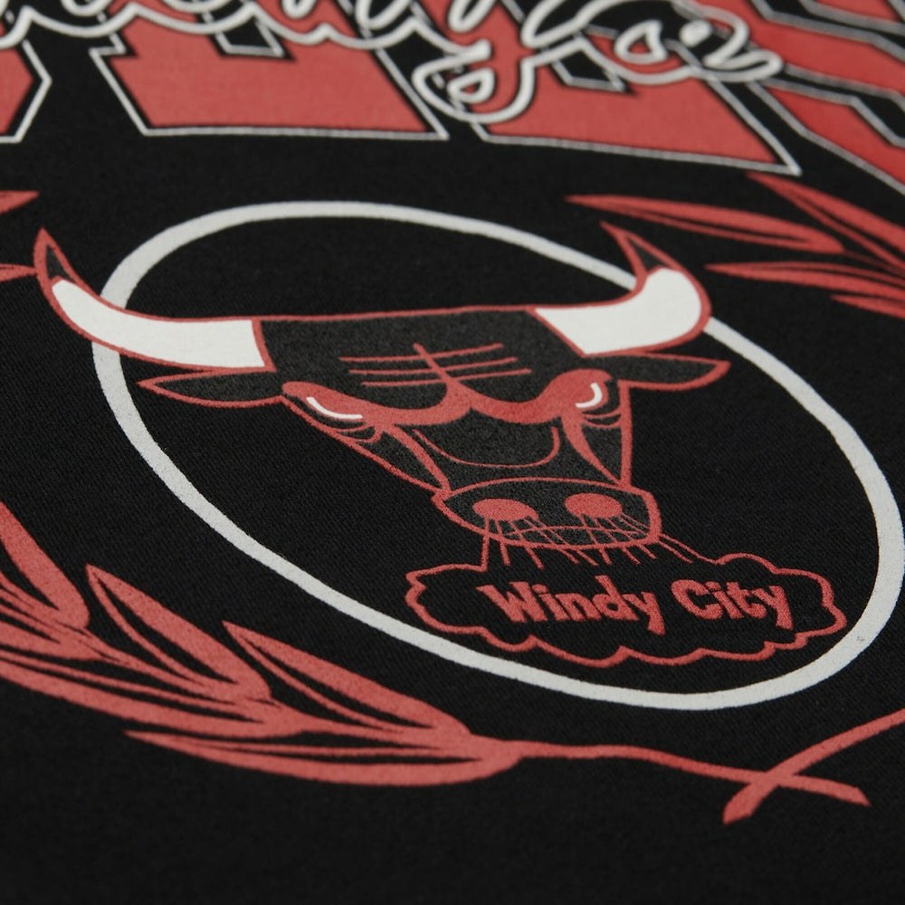 Chicago Bulls NBA x Michelob Ultra Swish & Sip Pullover Hoodie - Black | Mitchell & Ness shop