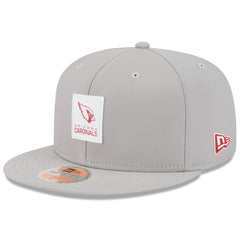 Arizona Cardinals New Era 2025 Sideline 59FIFTY Fitted Hat - Gray sale