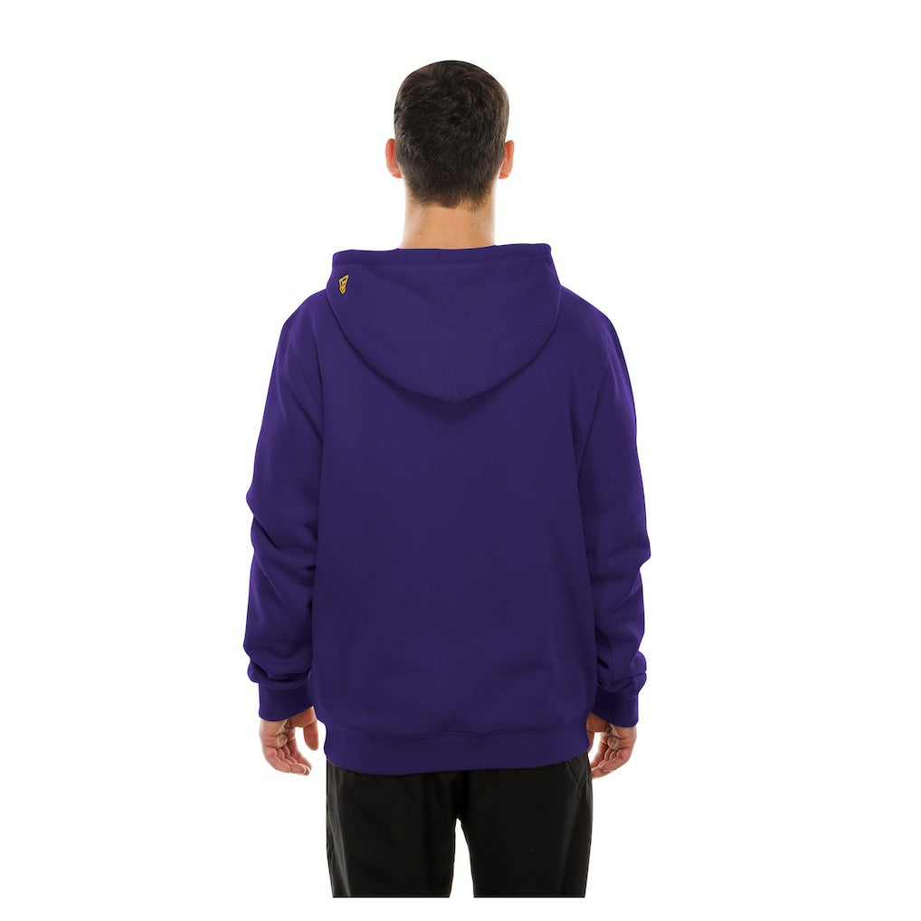 Minnesota Vikings New Era Combine Authentic Local State Throwback Hoodie - Purple discount