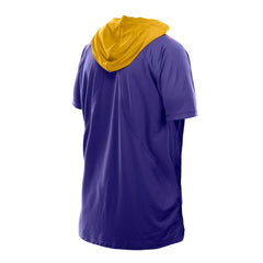 Minnesota Vikings New Era Combine Authentic Hooded Raglan Short-Sleeve T-Shirt - Purple sale