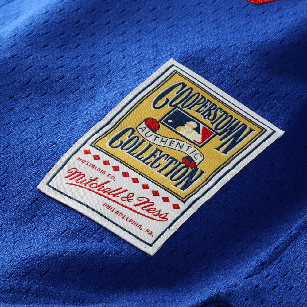 Hideo Nomo Los Angeles Dodgers Cooperstown Collection Mesh Batting Practice Button-Up Jersey - Royal | Mitchell & Ness