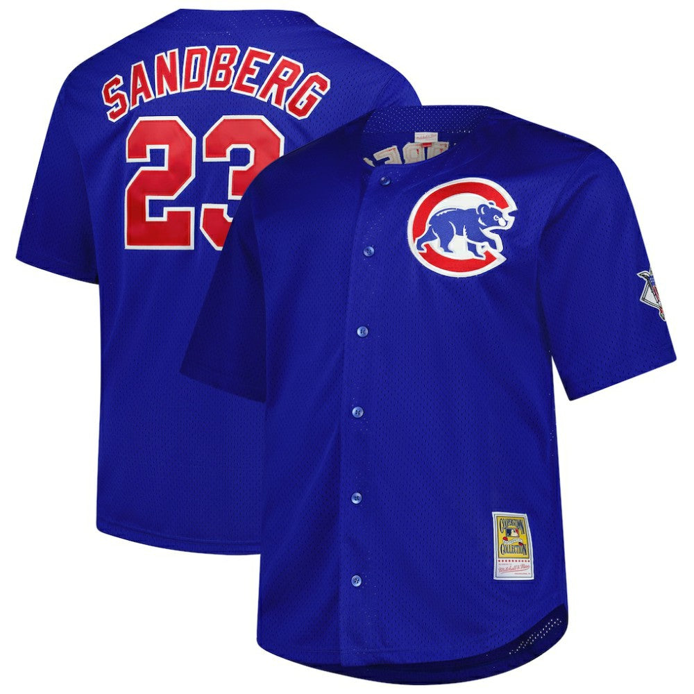 Ryne Sandberg Chicago Cubs Big & Tall Cooperstown Mesh Batting Practice Jersey - Royal | Mitchell & Ness