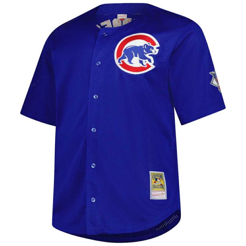 Ryne Sandberg Chicago Cubs Big & Tall Cooperstown Mesh Batting Practice Jersey - Royal | Mitchell & Ness