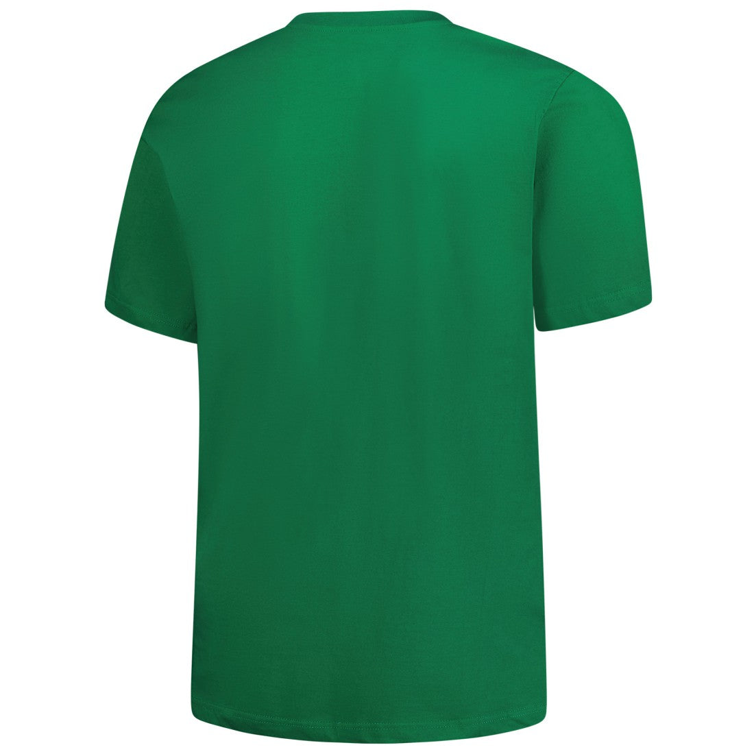 Detroit Lions Big & Tall Celtic T-Shirt - Kelly Green discount