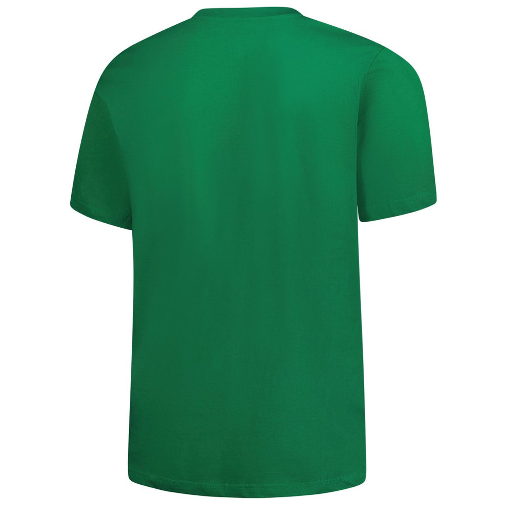 Detroit Lions Big & Tall Celtic T-Shirt - Kelly Green discount
