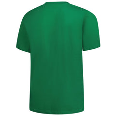 Detroit Lions Big & Tall Celtic T-Shirt - Kelly Green discount