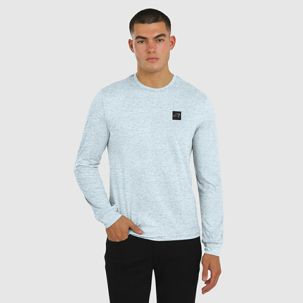 Carolina Panthers J. Palmer Four Down Long Sleeve T-Shirt - Gray for sale