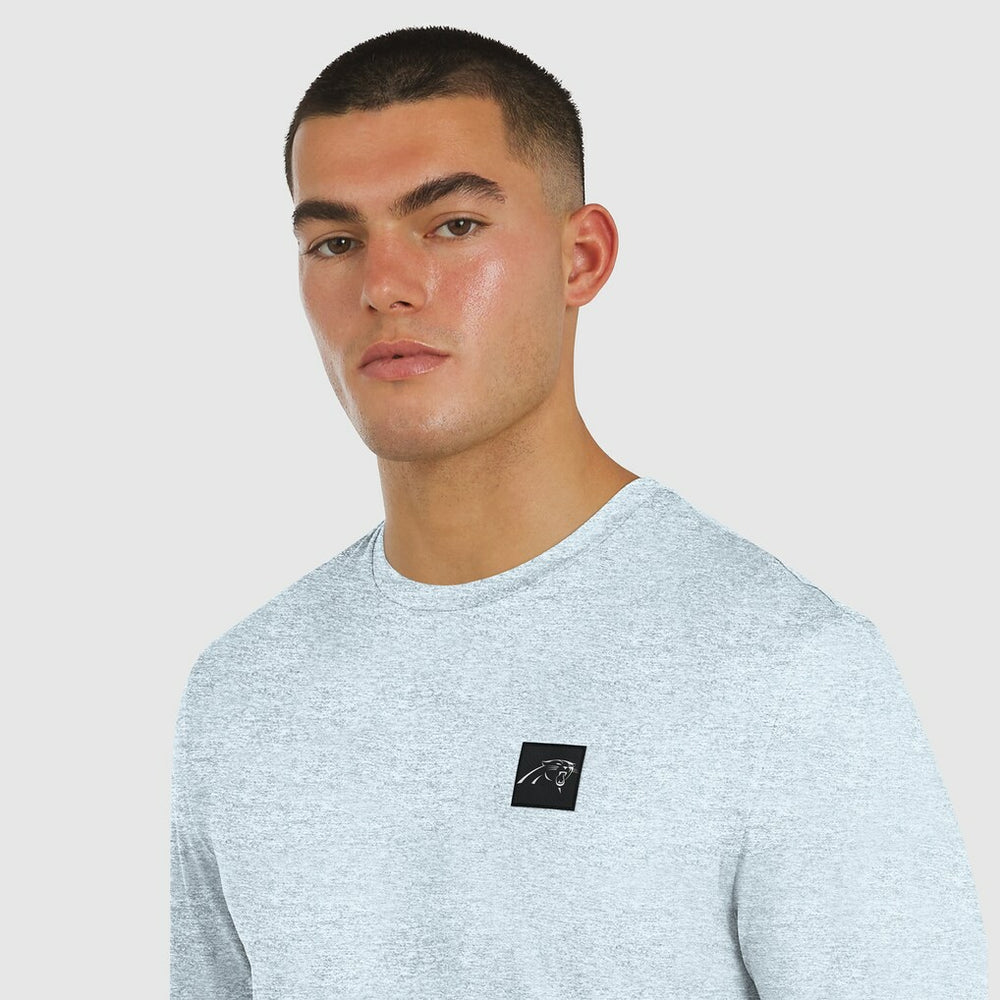 Carolina Panthers J. Palmer Four Down Long Sleeve T-Shirt - Gray for sale