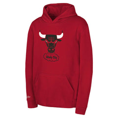 Chicago Bulls Preschool Retro Logo Pullover Hoodie - Red | Mitchell & Ness cheap