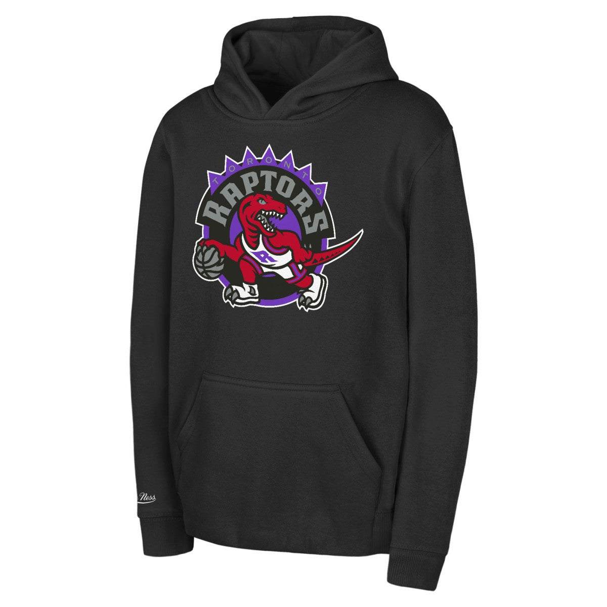 Toronto Raptors Preschool Retro Logo Pullover Hoodie - Black | Mitchell & Ness outlet