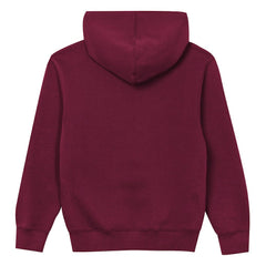 Washington Commanders Outerstuff Preschool Back to Basics Hoodie - Burgundy outlet