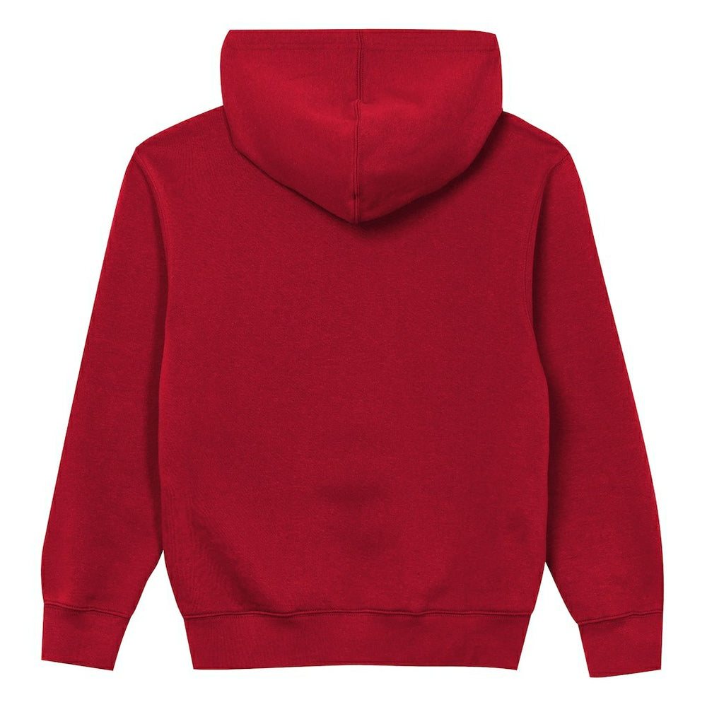 Atlanta Falcons Outerstuff Preschool Back to Basics Hoodie - Red on sale