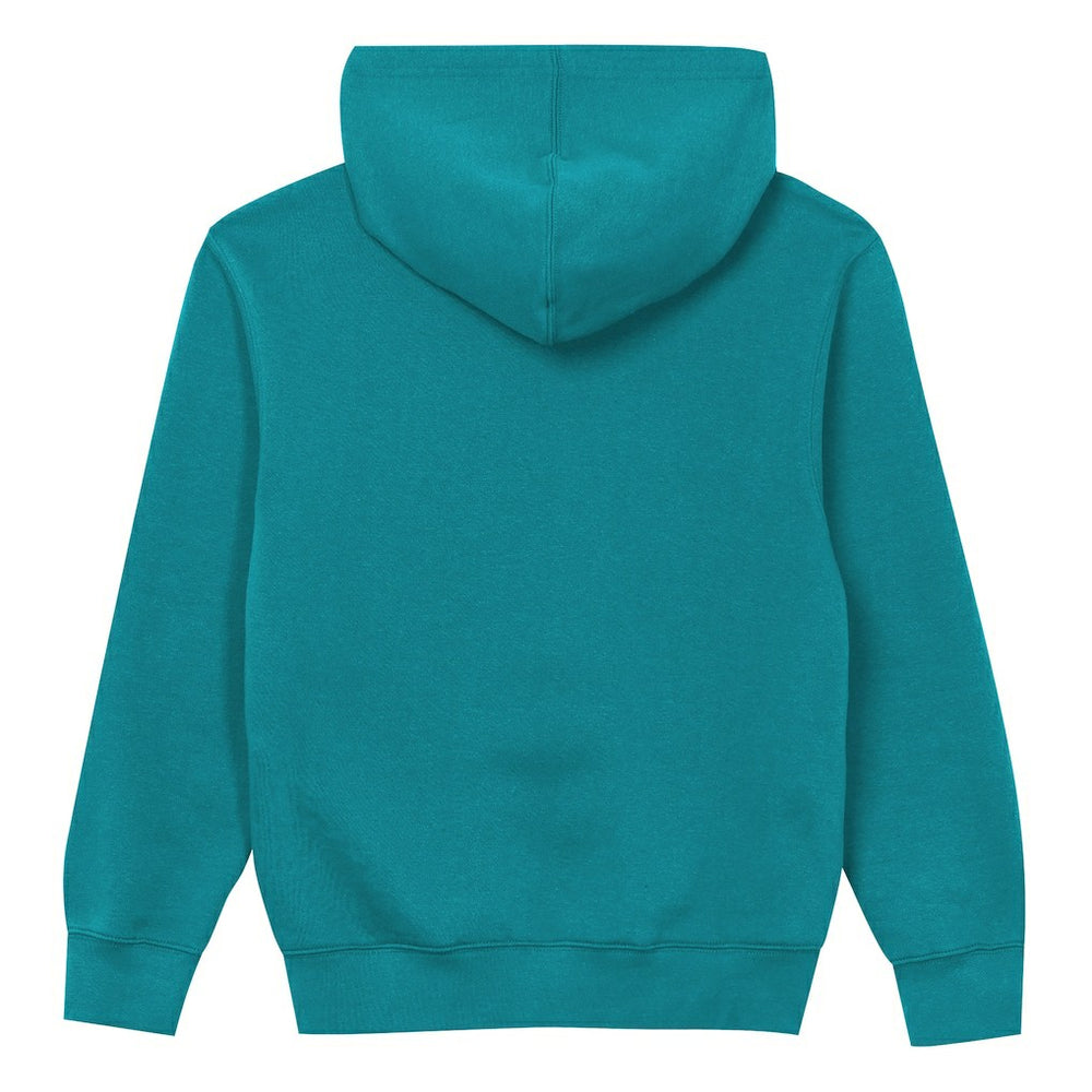 Miami Dolphins Outerstuff Preschool Back to Basics Hoodie - Aqua online